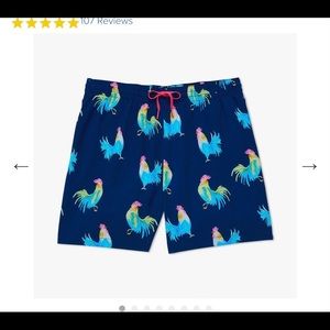 Chubbies swim shorts new rise and shine novelty rooster print sz med NWT